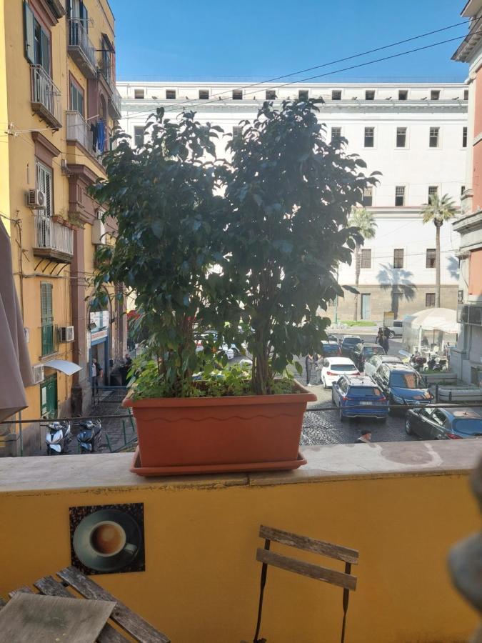 Concept B&B Napoli Bagian luar foto